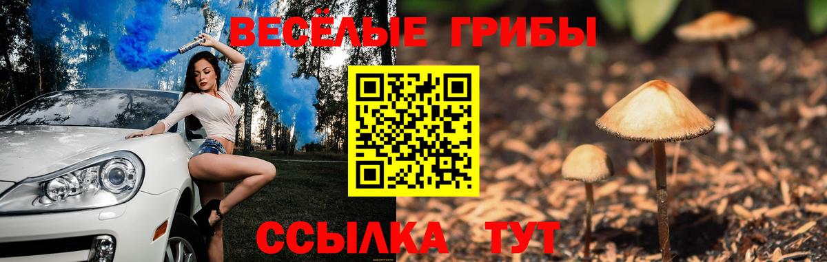 Галлюциногенные грибы Cubensis  Псилоцибиновые грибы MAGIC MUSHROOMS  Вход с VPN  Протвино 