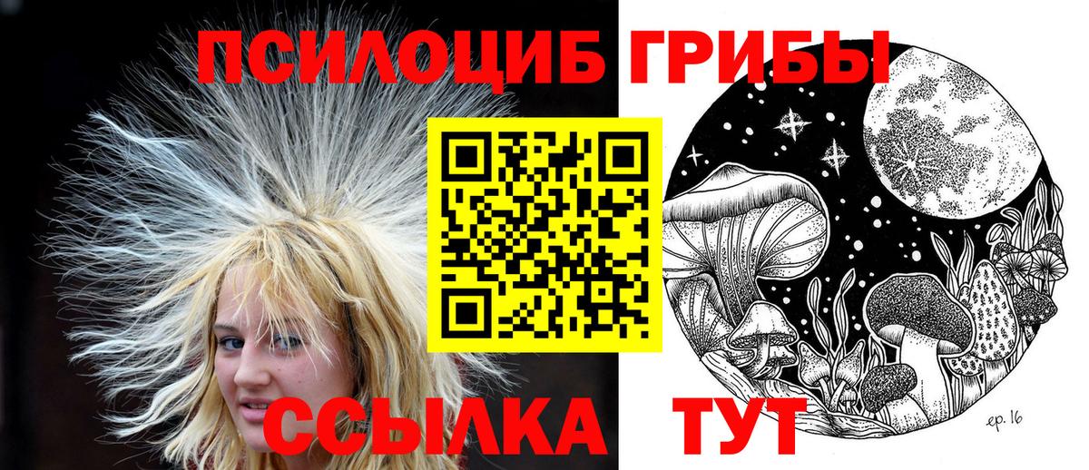 Галлюциногенные грибы Magic Shrooms Протвино